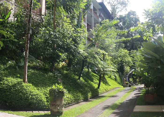 The Lokha Resort, &