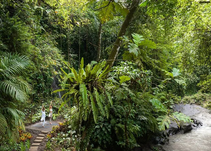 The Lokha Resort, & Resort Ubud (Bali)