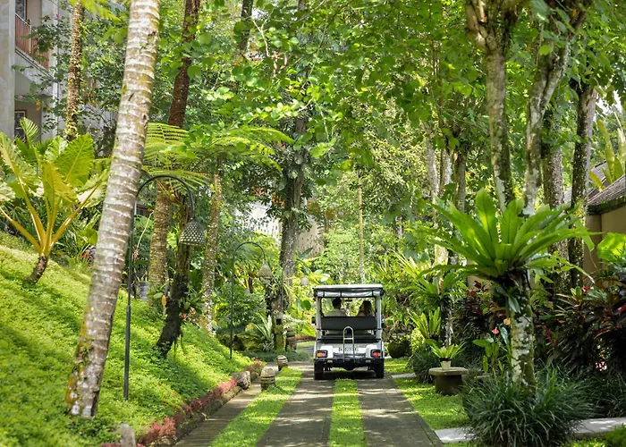 The Lokha Resort, &