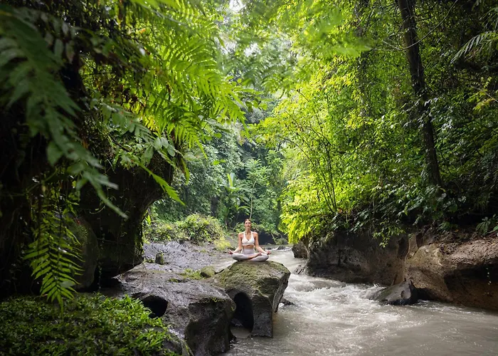 The Lokha Resort, & Resort