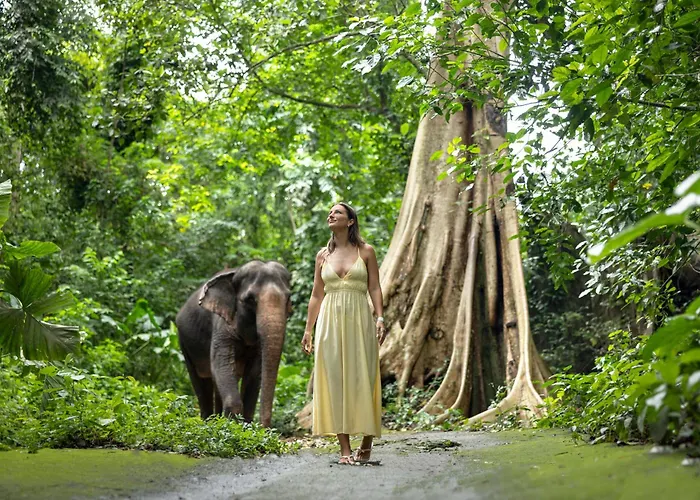 The Lokha Resort, & 5* Ubud (Bali)